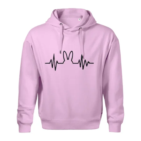 EKG zajac