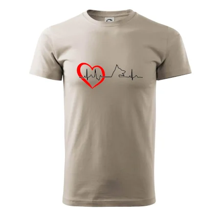 Nemecký ovčiak ekg