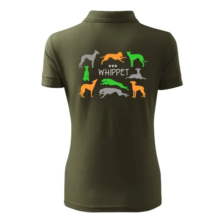 Whippet farebný