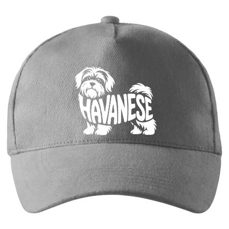 Havanese nápis v tele
