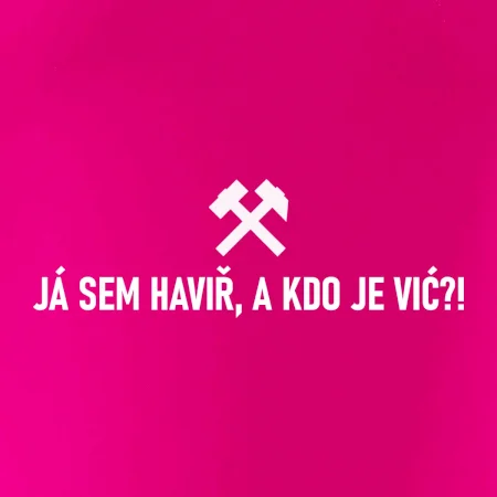 JÁ SEM HAVIŘ, A KDO JE VIĆ?!﻿