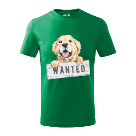 Zlatý retriever - šteniatko wanted