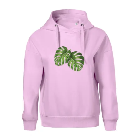 Monstera - dva listy