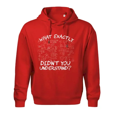 What exactly didn't you understand - physics