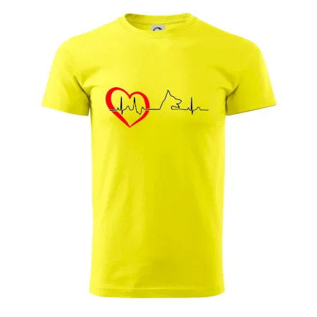 Nemecký ovčiak ekg