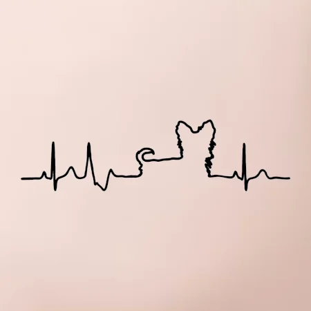 Yorkshirský teriér EKG