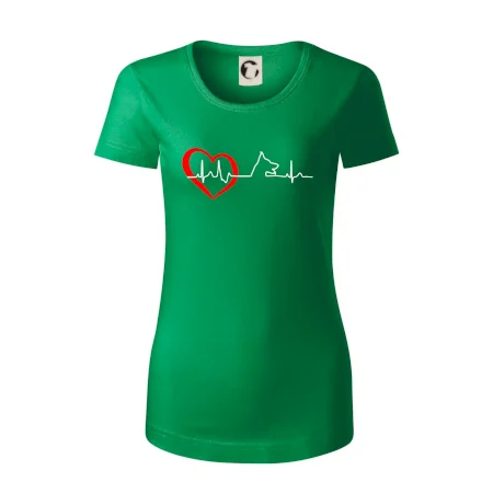 Nemecký ovčiak ekg