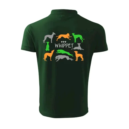 Whippet farebný