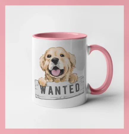 Zlatý retriever - šteniatko wanted