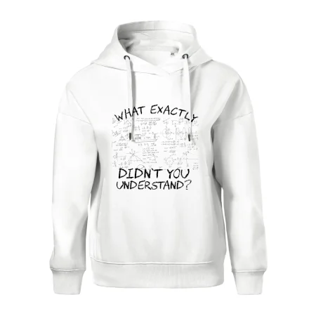 What exactly didn't you understand - physics