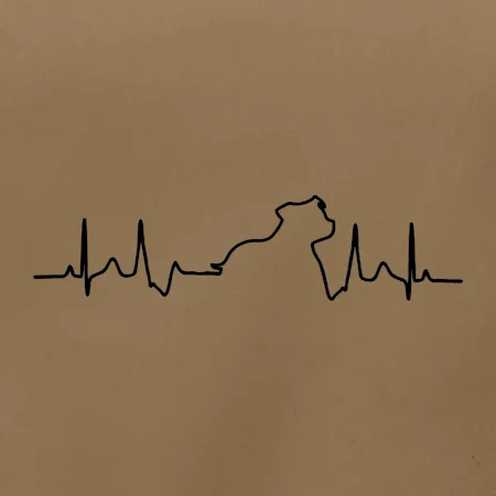 Stafordšírsky bulteriér ‎ EKG