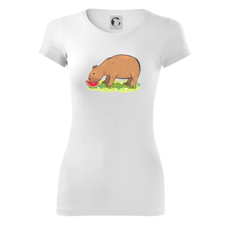 Kapybara a melón