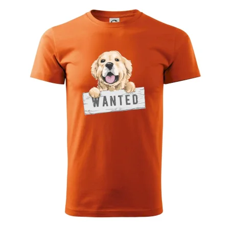 Zlatý retriever - šteniatko wanted