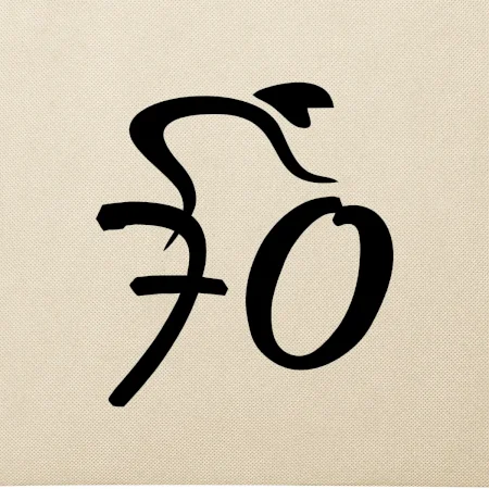 Cyklista oslavuje sedemdesiatku (70)
