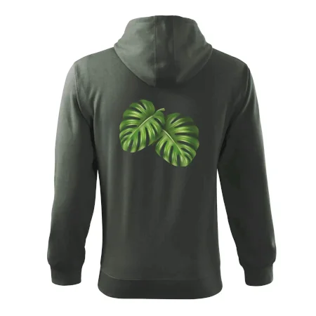 Monstera - dva listy