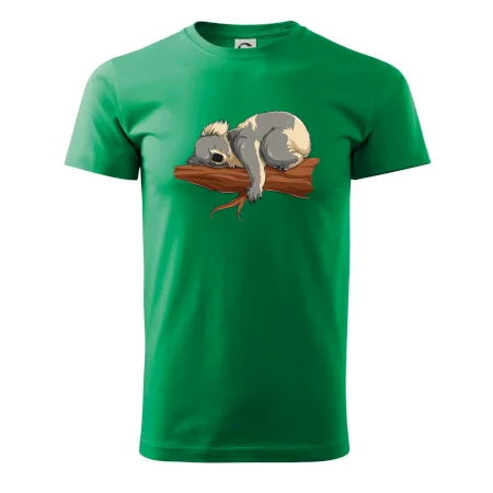 Koala na vetve