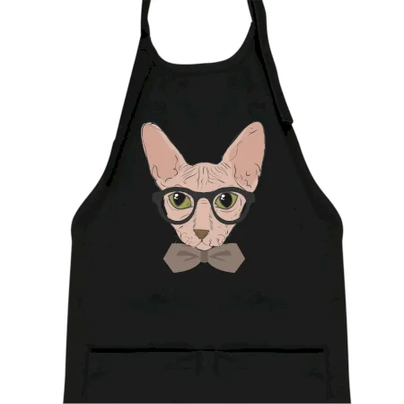 Hipster sphynx