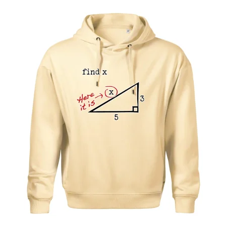 Find X - geometria
