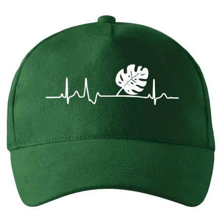EKG Monstera