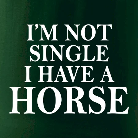 I have a horse