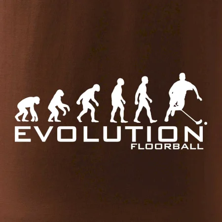 Evolúcia Floorball
