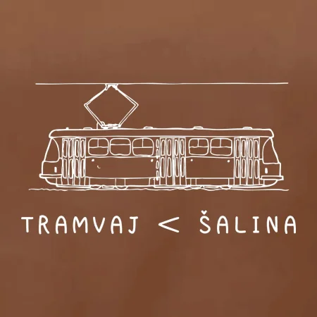 Tramvaj < šalina