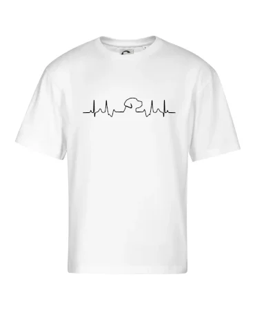 Labradorský retriever‎ EKG