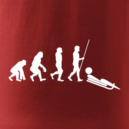 Evolúcia jazdy na bôbu