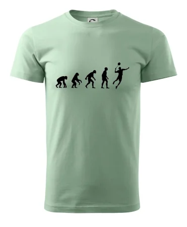 Evolúcia Bedminton