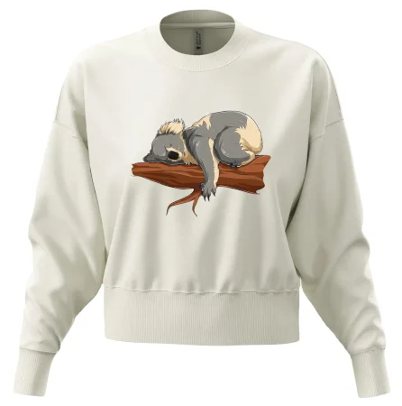 Koala na vetve