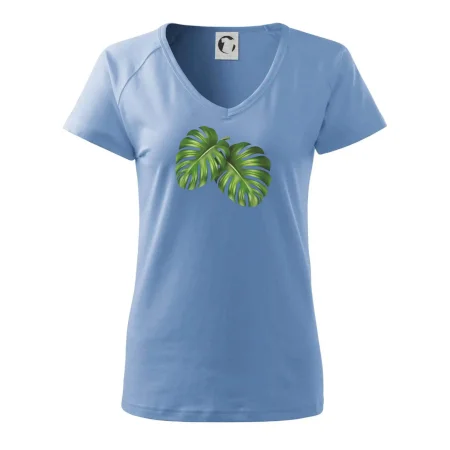 Monstera - dva listy