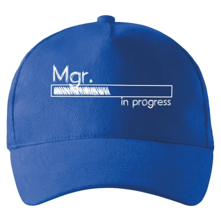 In progress titul Mgr. magister / magistra