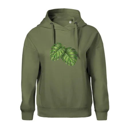 Monstera - dva listy