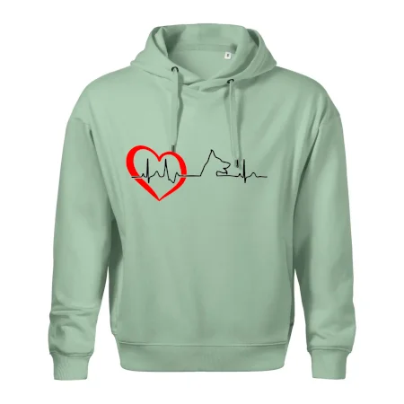 Nemecký ovčiak ekg