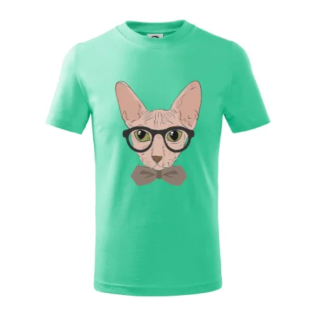 Hipster sphynx