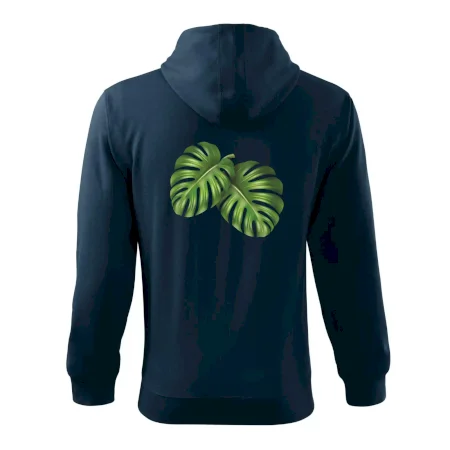 Monstera - dva listy