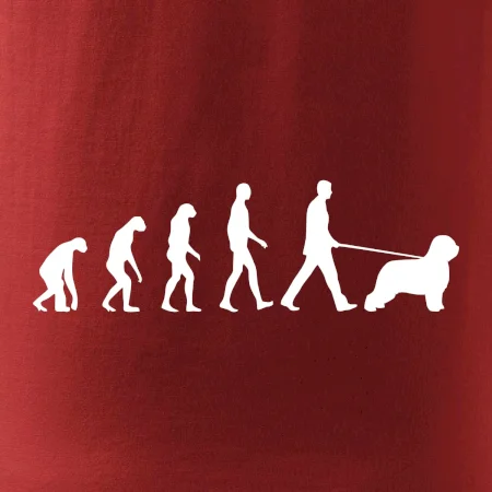 Evolúcia pes Briard