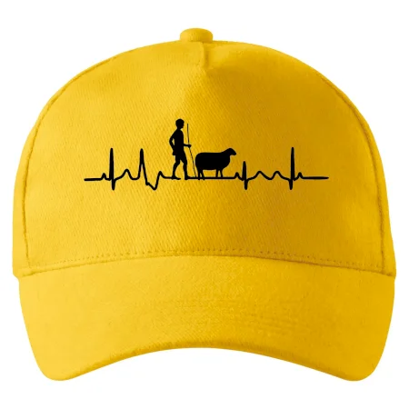 Ekg pastier oviec