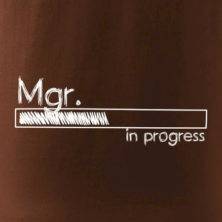 In progress titul Mgr. magister / magistra