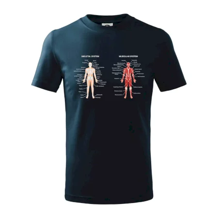 Skelet and Moscular system