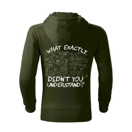 What exactly didn't you understand - physics
