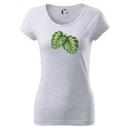 Monstera - dva listy
