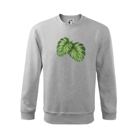 Monstera - dva listy