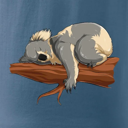Koala na vetve