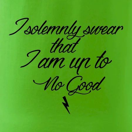 I solemnly swear that I'm up to no good