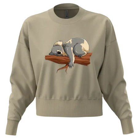 Koala na vetve