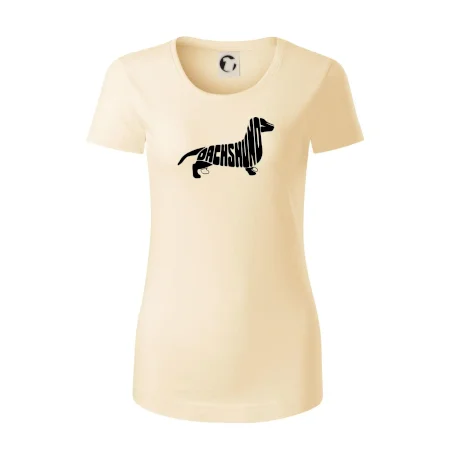 Jazvečík - Dachshund