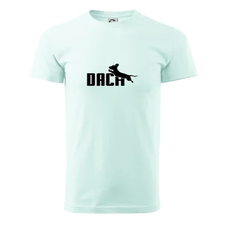 Jazvečík Dach