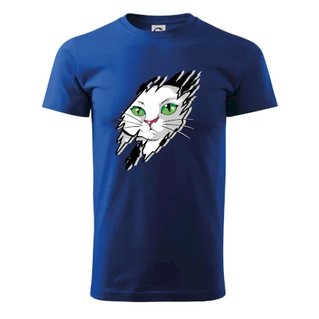 Kočka v roztrženém triku