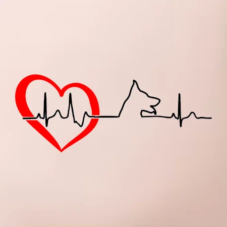 Nemecký ovčiak ekg